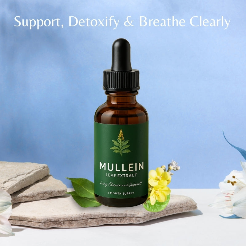 Mullein: Suplemento Natural para la salud respiratoria